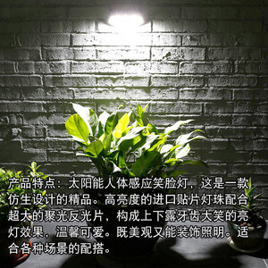 Lámpara Solar de Jardín Mono Si Led, Montaje en Pared, Resistente al Agua, Iluminación Exterior - Product Image 4