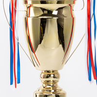 Trofeo Deportivo de Metal Personalizado con Diseño Popular en Oferta, Trofeo de Campeones de Fútbol Dorado para Torneo de Fútbol TB08