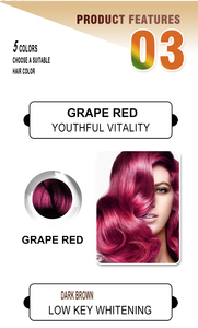 Private Label Natural 100% Argan Oil Ingredients <strong>Hair</strong> Color Shampoo Quickly <strong>Dye</strong> and Repair <strong>Hair</strong> - Product Image 6