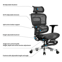 Chaise de bureau ergonomique pivotante en maille 5D avec accoudoirs - Design contemporain, appui-tête 4D, vérin à gaz BIFMA Classe 3, réglable pour la maison/le bureau