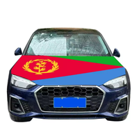 Ensemble d'accessoires de supporter sur le thème du drapeau national pour événements sportifs et célébrations, personnalisable, vente en gros, Erythrée