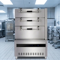 Armoire à vapeur industrielle commerciale pour fruits de mer, machine à vapeur multi-couches haute efficacité pour viande et poisson
