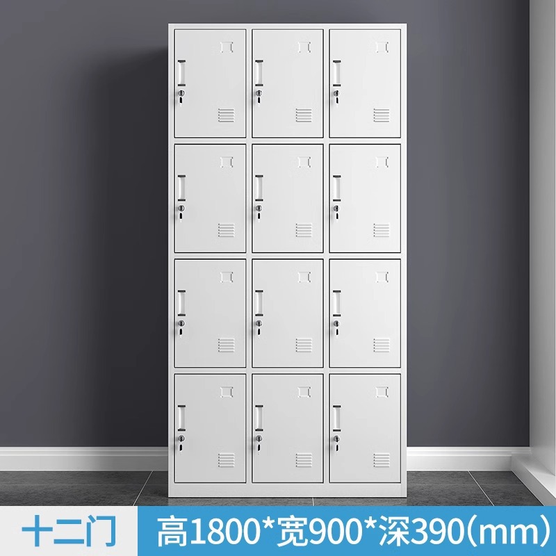Casier de rangement à douze portes [Amélioration d'espace]