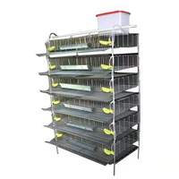 Nouvelle cage d'élevage et de ponte commerciale pour cailles, en fer galvanisé à chaud, capacité 300, 6 niveaux, garantie 1 an