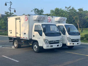 Camión Refrigerado FOTON Forland de 2-3 Toneladas, Camioneta de Reparto de Alimentos Congelados, Camión Refrigerador en Venta - Product Image 3