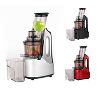 Hete Verkopende Commerciële Elektrische Fruitgroente Koude Pers Sap Slowjuicer
