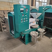 Commerciële huishoudelijke oliepersmachine voor pinda's, sesam, zonnebloem, kokosnoot, olijf, sojabonen en palmolie.