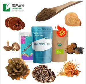 キノコ複合ブレンドエキスパウダーベジタリアンカプセル6 in One Food Longze Lion's Mane Mushroom Extract Fruit Body