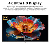 Custom Logo 43 Inch LED Smart Android TV 4K UHD WiFi Ultra Slim Frameloze Badkamer TV Goedkope Groothandelsprijs