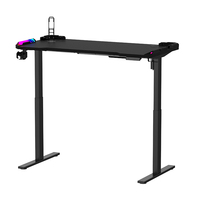 Escritorio de ordenador ajustable en altura eléctrico moderno de alta calidad, iluminación Led RGB fresca, escritorio de pie para sentarse y jugar