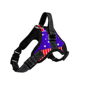 Correas de nailon, de lujo para perro mascota Collar, arnés ajustable retráctil, acero inoxidable, Oxford, transpirable, táctico, animales, gatos - Product Image 2