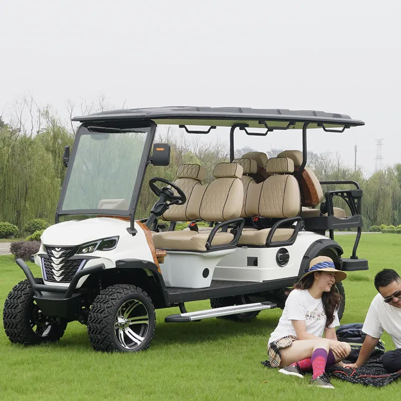 Carro de golfe elétrico com motor DC de escova off road, moda e popular, com tração nas quatro rodas, preços elétricos