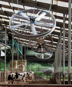 Ventilateur de ventilation à aimant permanent en acier inoxydable 304, suspendu, à faible bruit et à économie d'énergie, 1,5 m, 2 m, 59 po, 79 po, pour vaches laitières - Product Image 2