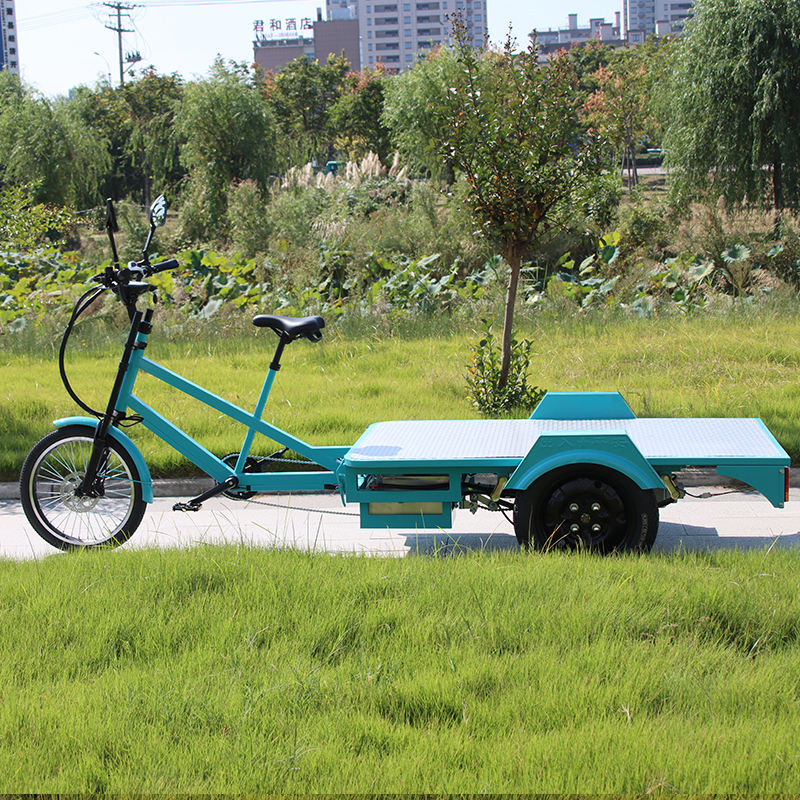 First Motorized Bike Heavy Duty Transport Cargo Trike Cargo Delivery Trike with Pedal Assist ...