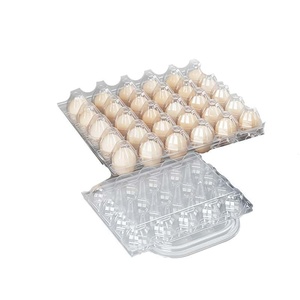 Boîte en <span class=keywords><strong>plastique</strong></span> de qualité alimentaire pour aliments, boîte de rangement alimentaire en <span class=keywords><strong>plastique</strong></span> transparent avec couvercle, boîte jetable pour aliments pour animaux de compagnie - Product Image 1
