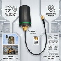 Antenne cellulaire omnidirectionnelle 4G LTE LoRa 433 MHz WiFi GPS à gain élevé, étanche, anti-explosion, pour extérieur, montage sur vis
