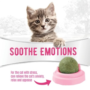 Balle multifonctionnelle rotative pour le nettoyage des dents molaires, à la menthe et à la catnip, jouet pour chat en forme d'avocat - Product Image 2