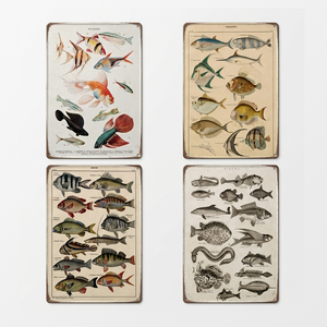 Venta al por mayor: Letreros de metal vintage con diseño de peces, póster de metal 20x30, decoración de pared, <span class=keywords><strong>cuadro</strong></span> de hierro con temática de pesca, placa de hojalata para el hogar y la sala de juegos masculina - Product Image 1