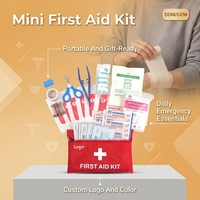 Trousse de premiers soins miniature d'urgence pour la maison, le bureau, les voyages, trousse de premiers soins 21*14cm, fournitures médicales portables, trousse de premiers soins