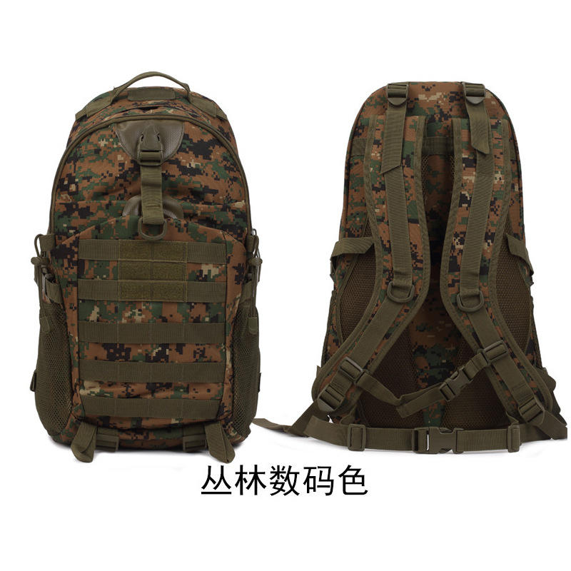 สีดิจิทัลป่าดงดิบ