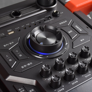 Machine de karaoké en bois JSL 10 "haut-parleurs alimentés par <span class=keywords><strong>DJ</strong></span> haut-parleur audio professionnel avec chariot modèle n °: F7 - Product Image 5