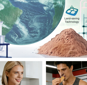 반려동물 영양을 위한 기능성 발효 단백질 |   사료 등급 - Product Image 5