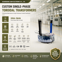 Transformateur audio toroïdal monophasé 12V/24V en cuivre, alimentation d'entrée 110V 50/60Hz