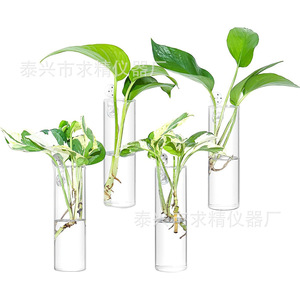 Glass Hydroponic Test Tube <b>Vase</b> 40x150mm Wall Mounted Plant Container European Pastoral Style - Product Image 3