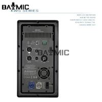 Module d'amplificateur de puissance actif de classe D professionnel OEM d'usine 1000W pour haut-parleur de subwoofer de 18 pouces
