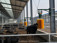 Machine de nettoyage automatique pour vaches avec brosse rotative multidirectionnelle pour l'entretien du bétail, diamètre de la brosse de 50 cm, hauteur de 60 cm