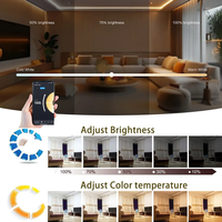 Tuya Wifi LED veilleuses intelligentes lampe de table à intensité variable RGB Table chevet bol lampe voix APP contrôle Google Home Alexa Smartlife