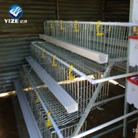 9 cages à poulet tricotées en PVC, 6x3 niveaux, cages à résistance nouveau-né, accroche à piles pour l'afrique du sud