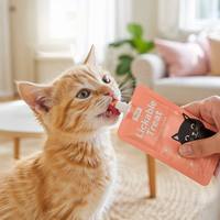 Sachet Doypack imprimé personnalisé pour friandises liquides pour chats, avec bec verseur, fermeture éclair anti-odeur, pour snacks crémeux et sauces pour chats