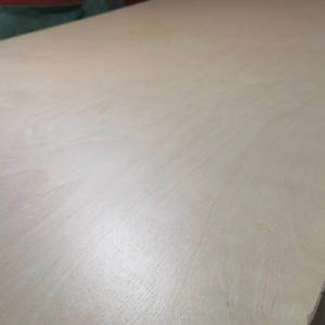 Contrachapado Fenólico de Primera Clase con Núcleo de Abedul E0 de 1525x2500 mm, Resistente al Agua, Paneles Completos de Abedul Modernos de 20 mm para Armario - Product Image 4