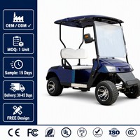 Carrito de Golf Eléctrico de 4 Ruedas, 2 Asientos, Alta Velocidad, 35 km/h, 25% de Inclinación, para Campos de Golf, Resorts y Hoteles