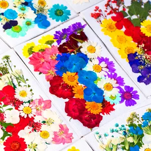 140 Pcs Real Dried Pressed Flowers for Resin with Tweezers - Dried Flowers for Resin Molds - Pressed Flowers for Resin, DIY Candle Decoration Resin