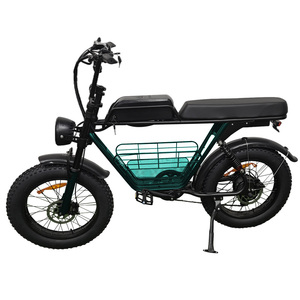 Ruihe S1 <b>Electric</b> 20-Inch Men's Mountain Bike 1000W Brushless Motor 15ah Lithium Battery Steel Frame 48v Voltage Fat Bike - Product Image 1