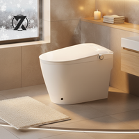 Toilette intelligente automatique multifonctionnelle en gros avec réservoir d'eau, cuvette de toilette en céramique, WC intelligent avec lampe de nuit