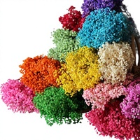 Fleurs séchées naturelles, gypsophile fraîche, bouquets de fleurs séchées, souffle de bébé, cadeau pour la décoration de mariage, décoration de la maison