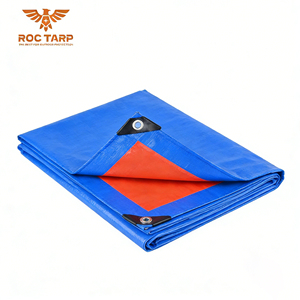 Lona Impermeable <span class=keywords><strong>para</strong></span> Exteriores, Resistente a los Rayos UV y a Desgarros, Lona de PE Personalizada <span class=keywords><strong>para</strong></span> Camiones y Construcción, Directo de Fábrica - Product Image 5