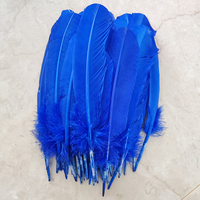Plumes de dinde rigides de 10-12 pouces, plumes d'aile primaires, véritables plumes d'écriture pour stylos de calligraphie, montage de mouches et artisanat DIY