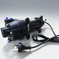 Pompe à eau à diaphragme 230V AC 3,3 GPM 35 PSI 12,5 LPM auto-amorçante avec prise pour l'irrigation domestique et de jardin