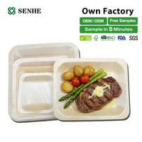 Assiettes jetables écologiques en bois biodégradables légères pour fêtes et restaurants