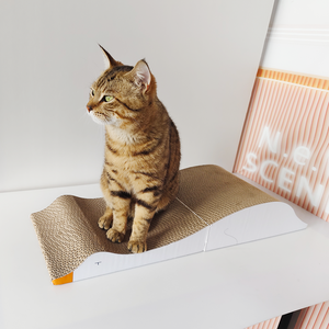 Bán Buôn Thân Thiện Với Môi Có Thể Gập Lại Hình Dạng Ngỗng Giấy Sóng Mèo Ban Đầu Mèo Scratcher Với Catnip - Product Image 6