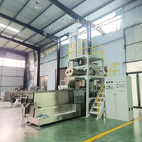 Machine d'extrudeuse d'aliments pour animaux de compagnie de haute qualité 2 tonnes/h ligne de production d'aliments pour chiens avec composant clé de mélangeur essentiel