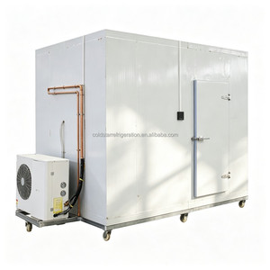 Large Capacity <b>Container</b> Walk-In Freezer, Commercial Cold Storage, Digital Thermostat, Automatic Defrosting Cold Storage - Product Image 3