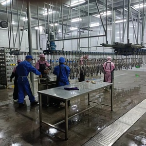 Ligne de traitement automatique pour l'abattage de poulets, équipement de nettoyage et de découpe, <span class=keywords><strong>prix</strong></span> usine - Product Image 2