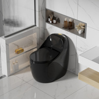 Ensemble de toilettes monobloc en céramique moderne noir, blanc et gris avec siphon en S et double chasse pour salle de bain