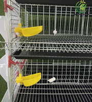 Nouvelle cage à cailles de haute qualité en acier galvanisé, type H, 1,2 m, 6 niveaux, capacité 360, pour élevage en extérieur, batterie avicole automatisée