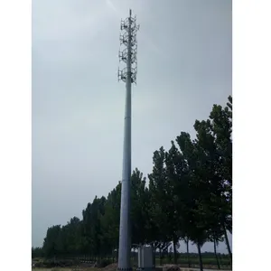 20m 25m 35m 40m 45m 55m 60m 65m 70m 75m 80m hot dip galvanized steel tube Monopole Communication Antenna Tower